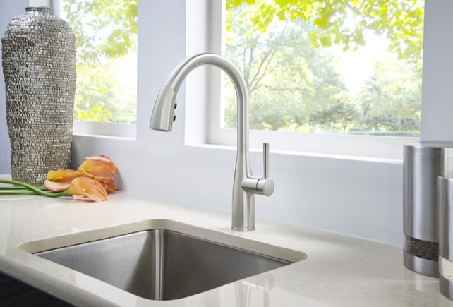 Pfister Raya Stainless Steel Pull-down Kitchen Faucet with Sprayer